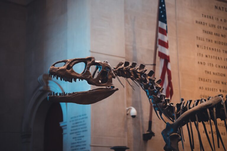 Biglietti per American Museum Of Natural History New York