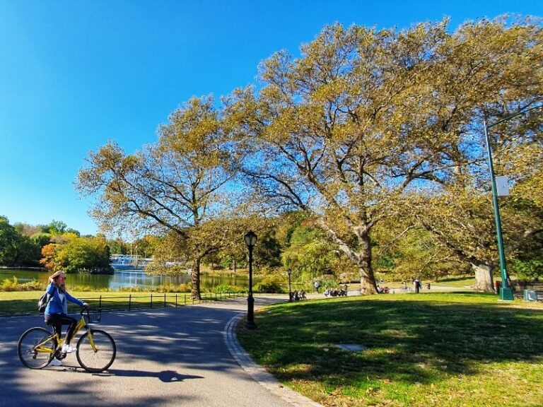 Bike Rental Central Park