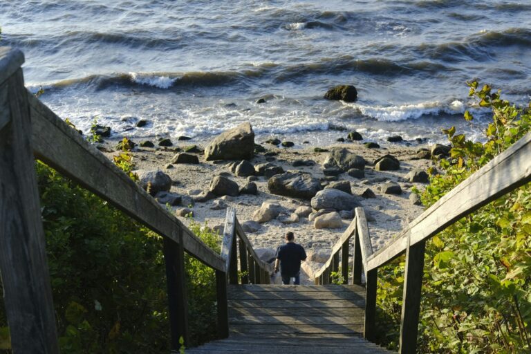 Tour Hamptons New York in Italiano: 1 Giorno