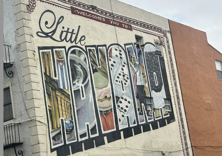 Tour Everglades in Italiano con Miami Opzionale