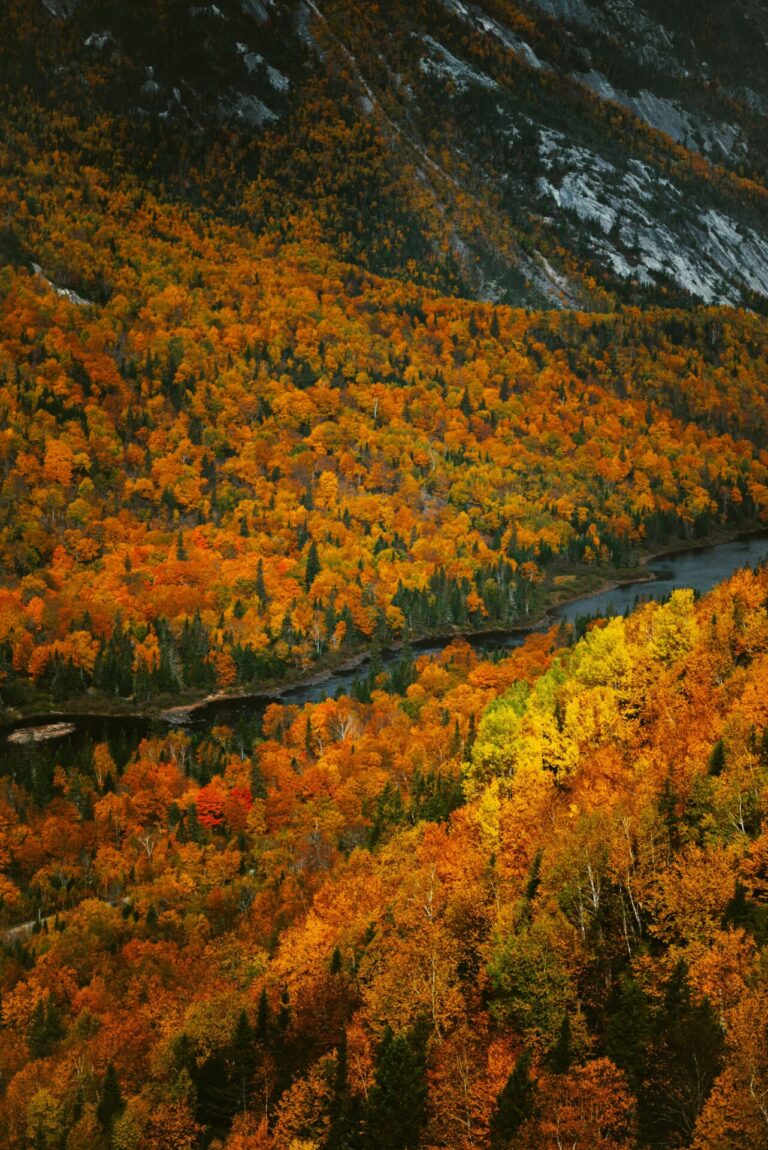 Hudson River Fall Foliage Cruise